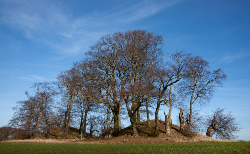 Sakshøje gravhøje / Sakshøje burial mounds, Rye, w