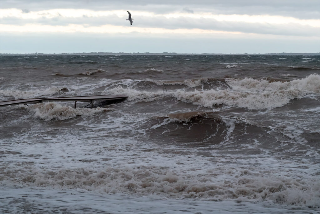 Efterårsstorm ved Mommark / Autumn storm at Mommark