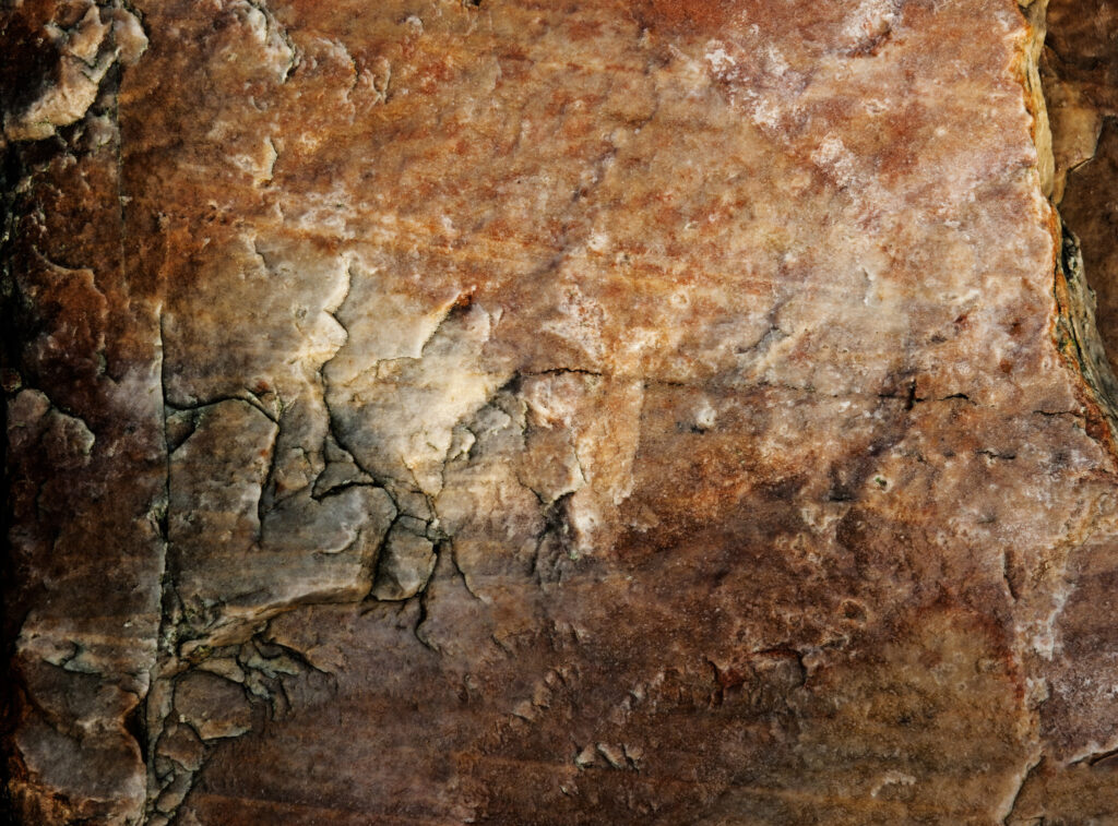 Ordovicisk sandsten / Ordovicic sandstone