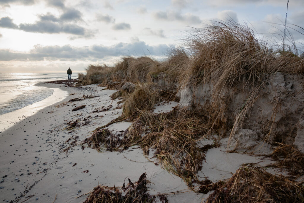 Vigende klitter / Receding dunes