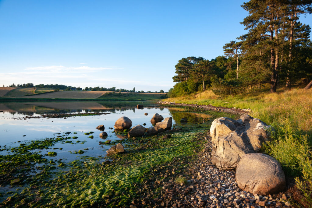 Vellerup Vig øst / East Vellerup Cove