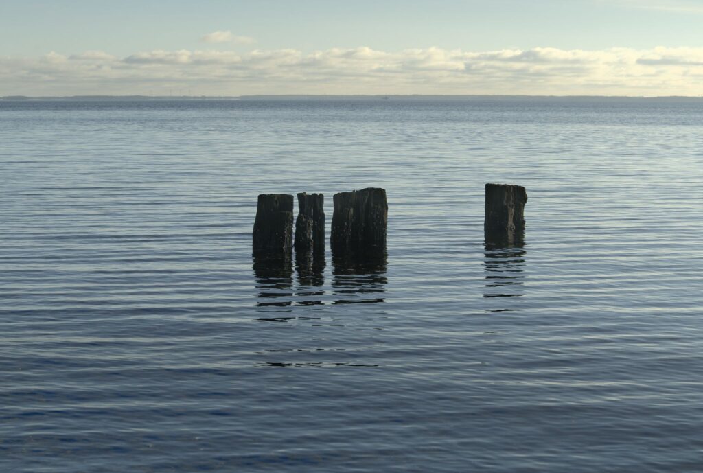 Høfdestumper / Pieces of groyne