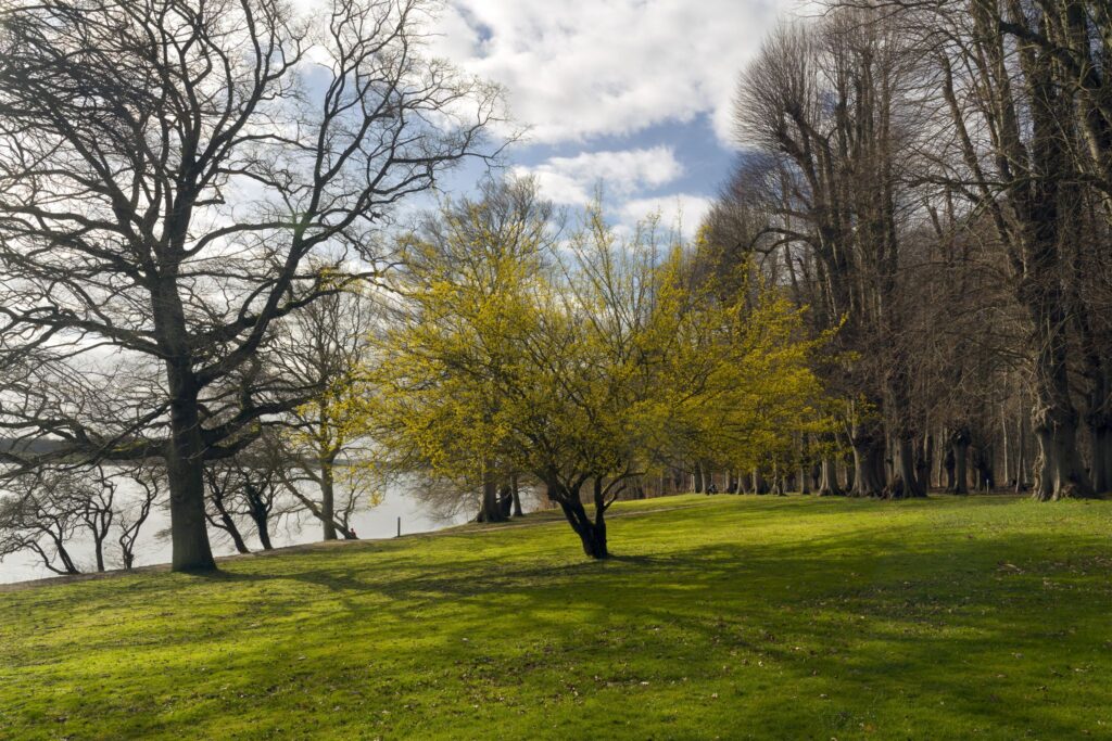Forår i Augustenborg / Spring in Augustenborg