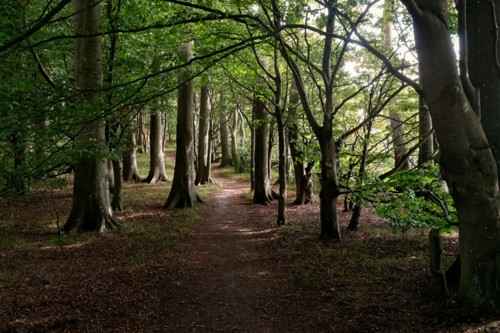 Gendarmstien ved Klinting / The Gendarme Path at Klinting