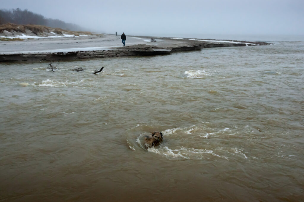 Skate Å amok / Skate Stream amok