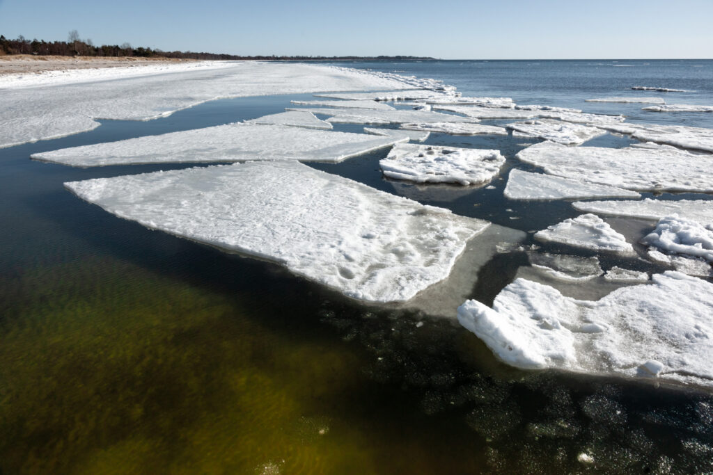 Forår Beddingestrand / Spring Beddingestrand, (ice flakes)