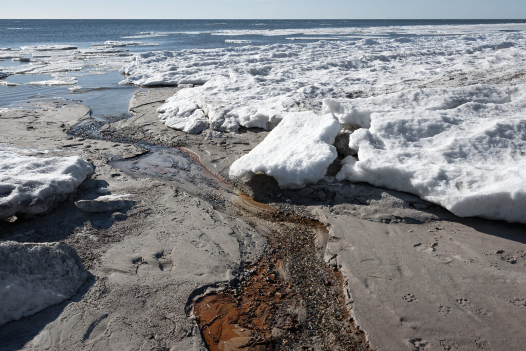 Forår Beddingestrand / Spring Beddingestrand, (melting)