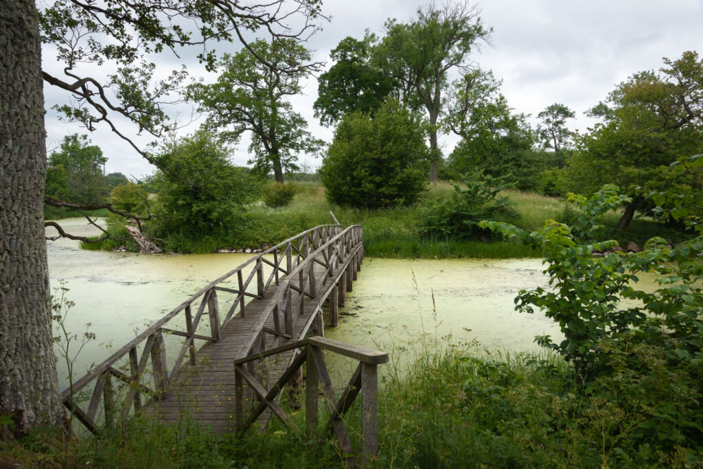 Stjärneholms Slots voldsted / Stjärneholms Castle's rampart, s