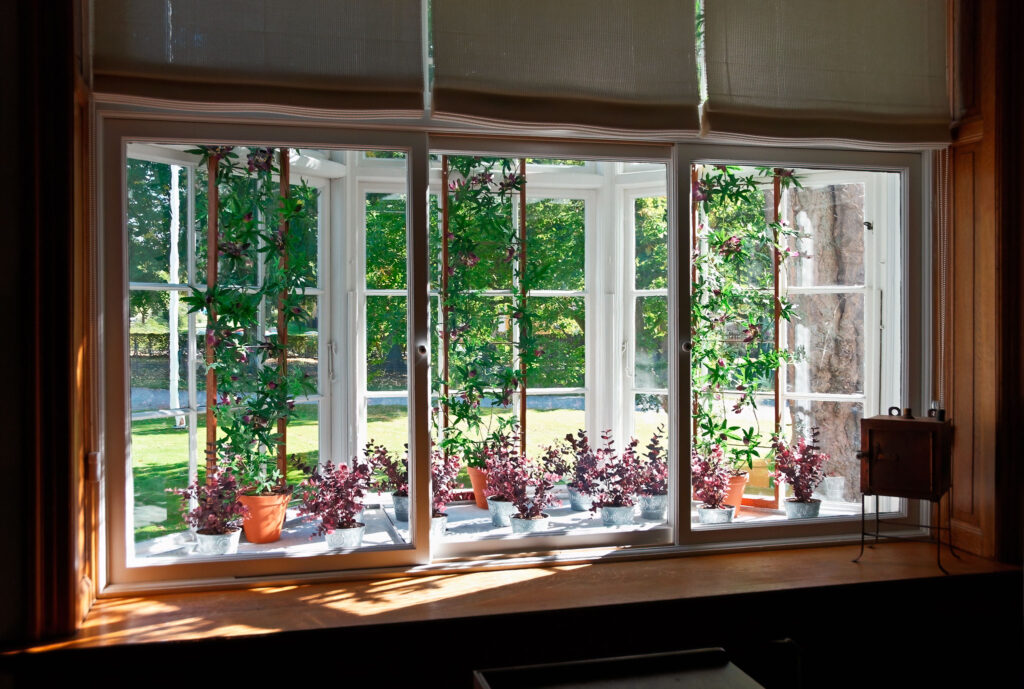 Solbeskinnet karnapvindue / Sunlit bay window