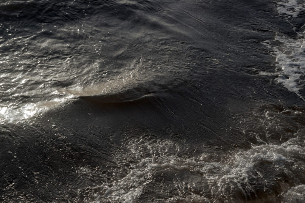 Østersøen / The Baltic Sea