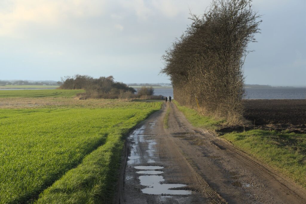 Udsigt over Sebbelev Nor / View over Sebbelev Nor