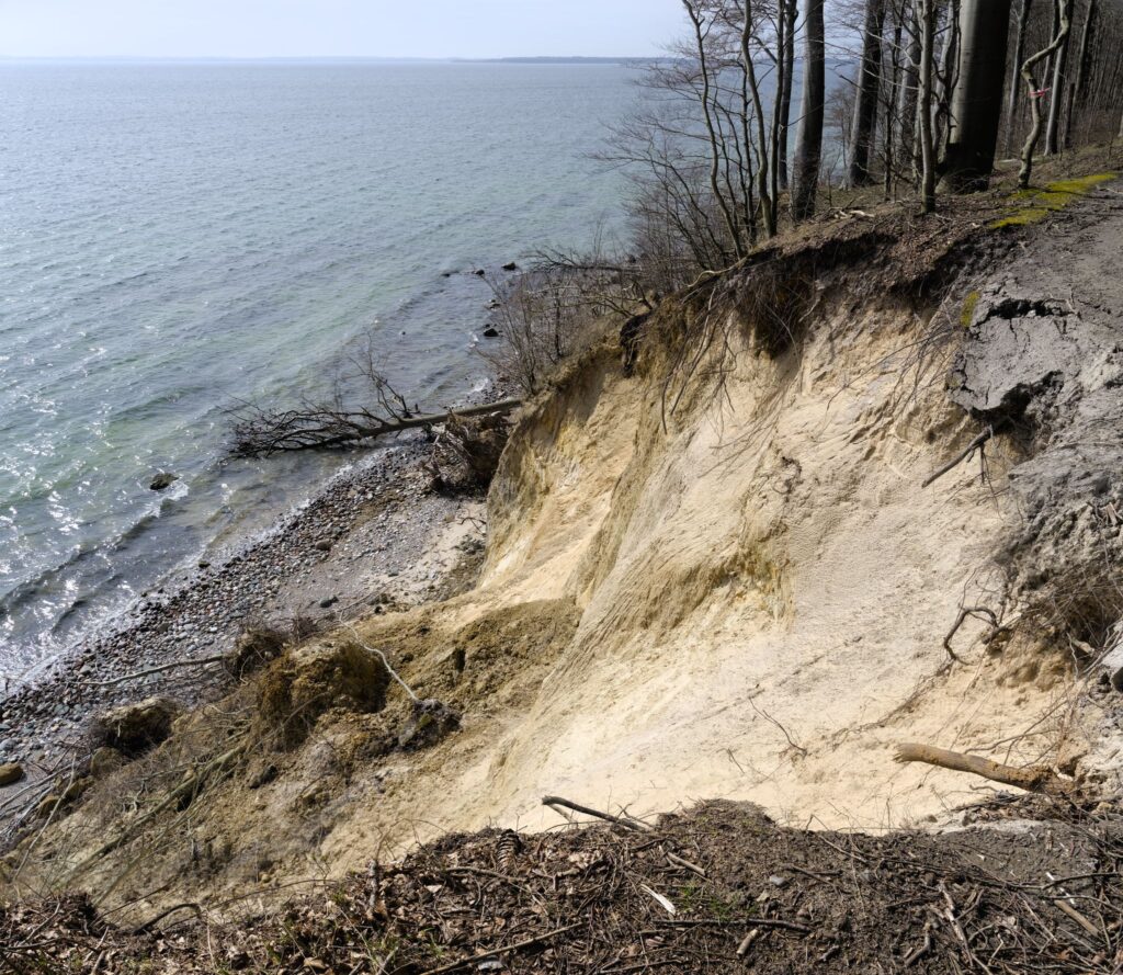 Kysterosion, Sønderskov / Costal erosion, Sønderskov
