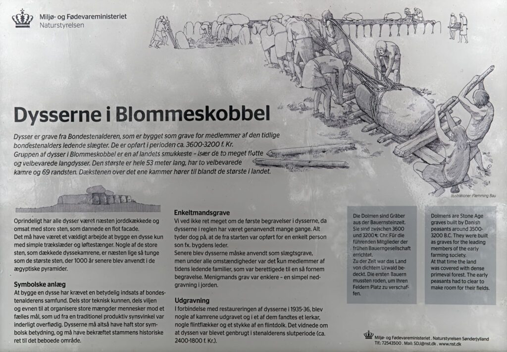 Dysserne i Blomeskobbel / The barrows in Blomeskobbel, (Naturstyrelsen)