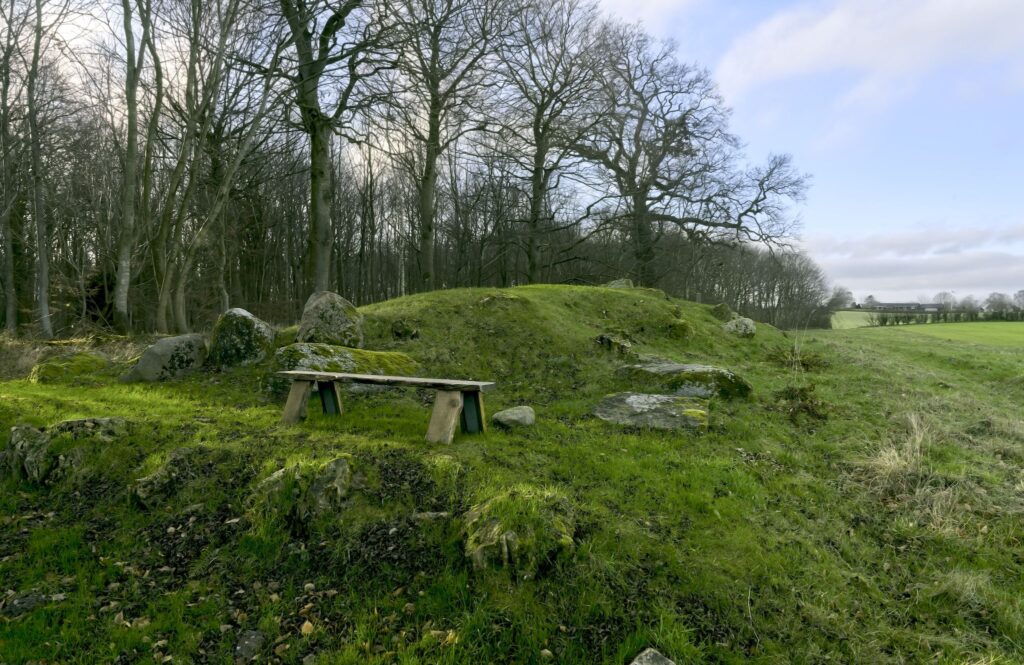 Enkelt langdysse / Single long barrow, Blomeskobbel