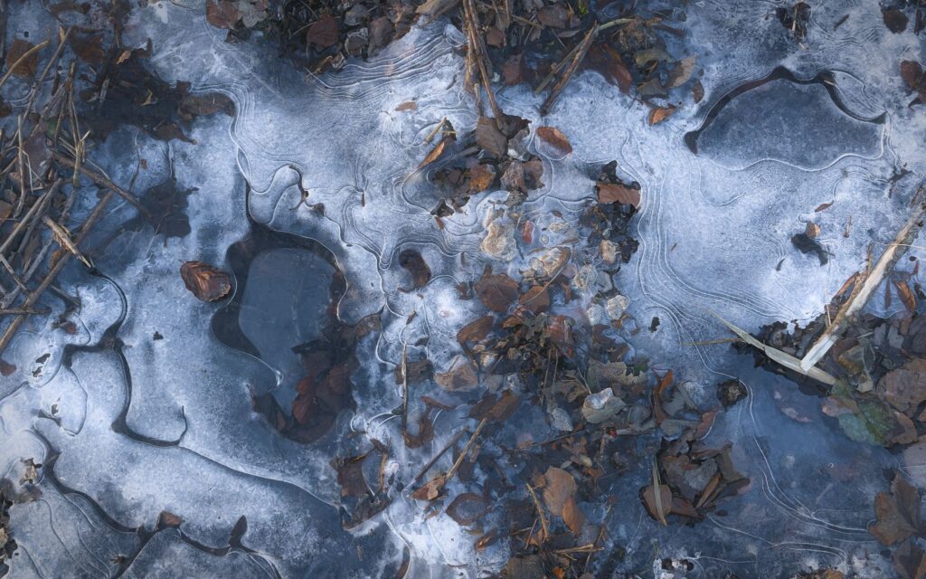 Frossen kunst / Frozen art