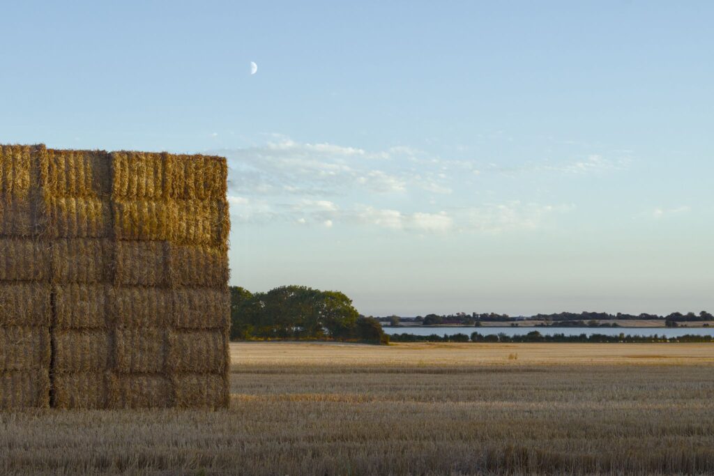 Halvmåne over Sydals / Half moon over Sydals